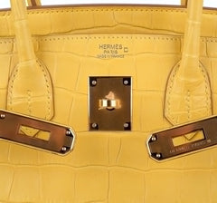 Birkin 30 Bag Mimosa Matte Alligator Gold Hardware