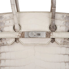 Birkin 35 Diamond Blanc Himalaya Matte Crocodile Limited Edition Bag