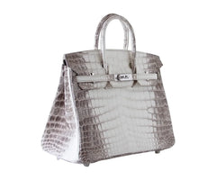 Birkin 25 Bag Blanc Himalaya Exquisite Jewel Palladium Hardware