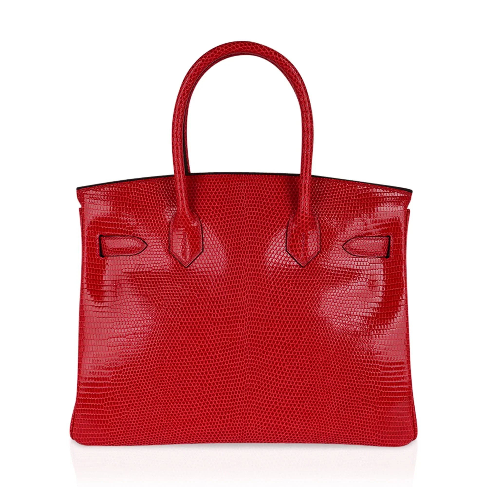 Birkin 30 Bag Rouge Exotique Lizard Limited Edition Gold Hardware Rare