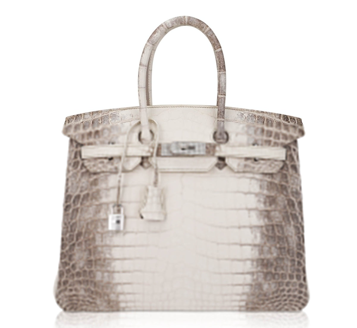 Birkin 35 Diamond Blanc Himalaya Matte Crocodile Limited Edition Bag