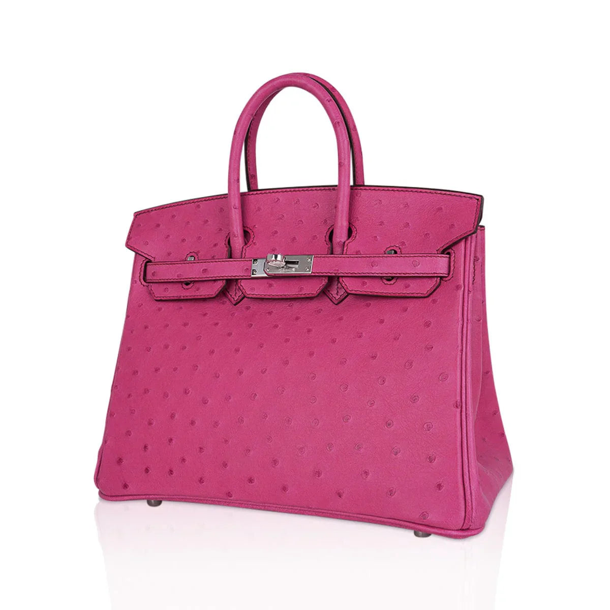Birkin 25 Bag Fuchsia Ostrich with Palladium Hardware