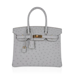 Birkin 30 Bag Gris Perle Ostrich with Gold Hardware